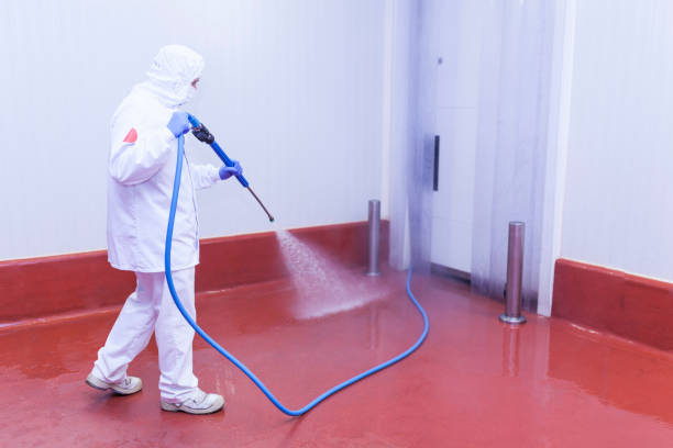 Best Patio and Deck Pressure Washing  in Calverton, MD